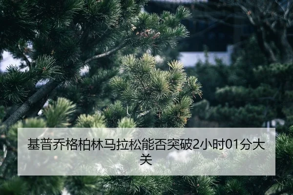 ji-pu-qiao-ge-bo-lin-ma-la-song-neng-fou-tu-po-xiao-shi-fen-da-guan-2-133.jpg