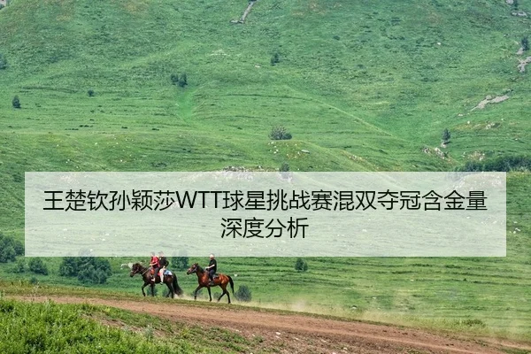 王楚钦孙颖莎WTT球星挑战赛混双夺冠含金量深度分析