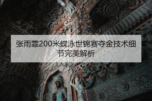 张雨霏200米蝶泳世锦赛夺金技术细节完美解析