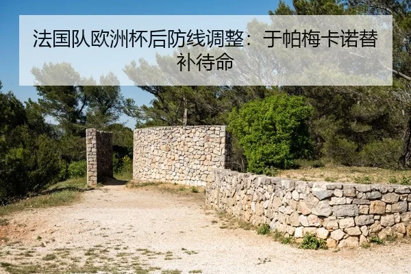 fa-guo-dui-ou-zhou-bei-hou-fang-xian-tiao-zheng-yu-pa-mei-ka-nuo-ti-bu-dai-ming-2-210.jpg