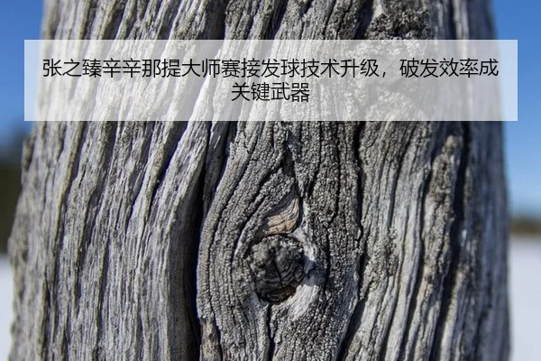 zhang-zhi-zhen-xin-xin-na-ti-da-shi-sai-jie-fa-qiu-ji-shu-sheng-ji-po-fa-xiao-lv-cheng-guan-jian-wu-qi-2-274.jpg