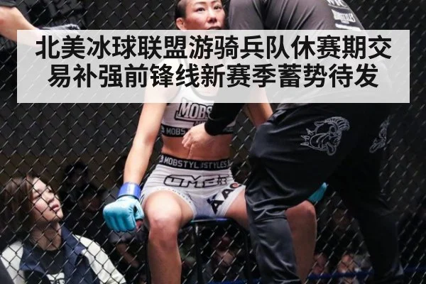 北美冰球联盟游骑兵队休赛期交易补强前锋线新赛季蓄势待发